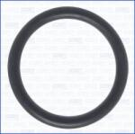 AJUSA Etansare, filtru ulei AJUSA 16056700 (16056700)