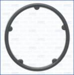 AJUSA Garnituri, carcasa filtru ulei AJUSA 01514800 (01514800)