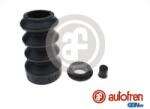 Autofren Seinsa Set reparatie, cilindru receptor ambreiaj AUTOFREN SEINSA D3584 (D3584)