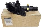 Original Renault Termostat, lichid racire ORIGINAL RENAULT 110609813R (110609813R)