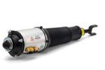 Arnott Brat arc pneumatic Arnott AS-2893 (AS-2893)