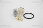 TRISCAN Termostat, lichid racire TRISCAN 8620 34487 (8620 34487)