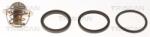 TRISCAN Termostat, lichid racire TRISCAN 8620 3988 (8620 3988)
