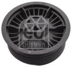 Febi Bilstein Capac, filtru combustibil FEBI BILSTEIN 108695 (108695)