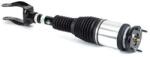 Arnott Brat arc pneumatic Arnott AS-3156 (AS-3156)