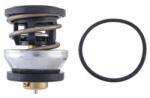 MAHLE Termostat, lichid racire MAHLE TX 490 91D (TX 490 91D)