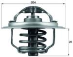 MAHLE Termostat, lichid racire MAHLE TX 111 87D (TX 111 87D)