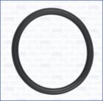AJUSA Garnituri, carcasa filtru ulei AJUSA 16114800 (16114800)