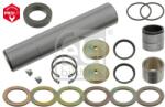 Febi Bilstein Set reparatie, pivot FEBI BILSTEIN 10608 (10608)