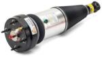 Arnott Brat arc pneumatic Arnott AS-2889 (AS-2889)