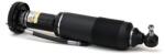 Arnott Brat arc pneumatic Arnott SK-2418 (SK-2418)