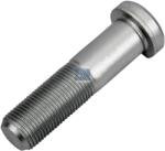 DT Spare Parts Bolt roata DT Spare Parts 4.40381 (4.40381)