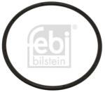 Febi Bilstein Simering, butuc roata FEBI BILSTEIN 45378 (45378)