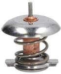 THERMOTEC Termostat, lichid racire THERMOTEC D2V001TT (D2V001TT)