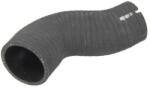THERMOTEC Palnie, filtru de aer THERMOTEC DCF009TTS (DCF009TTS)