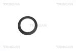 TRISCAN Rulment sarcina amortizor TRISCAN 8500 13924 (8500 13924)
