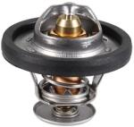 METZGER Termostat, lichid racire METZGER 4006310 (4006310)