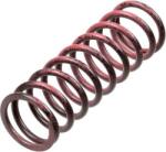 TRW Set arc ambreiaj TRW MEF313-6 (MEF313-6) - fixbox