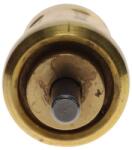 Bosch Termostat, lichid racire BOSCH 1 467 202 302 (1 467 202 302)