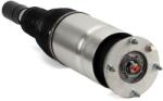Arnott Brat arc pneumatic Arnott AS-3067 (AS-3067)