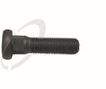 Trucktec Automotive Bolt roata TRUCKTEC AUTOMOTIVE 04.33. 012 (04.33.012)