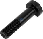 DT Spare Parts Bolt roata DT Spare Parts 4.40271 (4.40271)