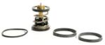 MAHLE Termostat, lichid racire MAHLE TX 496 91D (TX 496 91D)