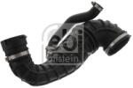 Febi Bilstein Palnie, filtru de aer FEBI BILSTEIN 46493 (46493)
