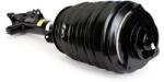 Arnott Brat arc pneumatic Arnott AS-3895 (AS-3895)