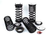 Arnott Set suspensie, arcuri elicoidale Arnott C-2227 (C-2227) - fixbox