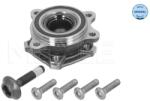 MEYLE Set reparatie, butuc roata MEYLE 100 653 0038 (100 653 0038)