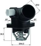MAHLE Termostat, lichid racire MAHLE TM 32 103 (TM 32 103)