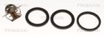 TRISCAN Termostat, lichid racire TRISCAN 8620 5488 (8620 5488)