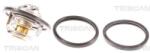TRISCAN Termostat, lichid racire TRISCAN 8620 7688 (8620 7688)