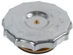 Febi Bilstein Buson, vas expansiune FEBI BILSTEIN 04493 (04493)