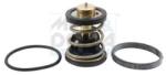 Meat & Doria Termostat, lichid racire MEAT & DORIA 92971 (92971)