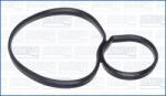 AJUSA Garnituri, carcasa filtru ulei AJUSA 01171700 (01171700)