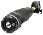 Arnott Brat arc pneumatic Arnott AS-2798 (AS-2798)