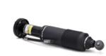 Arnott Brat arc pneumatic Arnott SK-2417 (SK-2417)