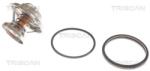 TRISCAN Termostat, lichid racire TRISCAN 8620 5380 (8620 5380)