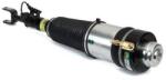 Arnott Brat arc pneumatic Arnott AS-3369 (AS-3369)