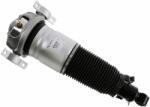 SACHS Brat arc pneumatic SACHS 319 411 (319 411)