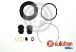 Autofren Seinsa Set reparatie, etrier AUTOFREN SEINSA D41201 (D41201)