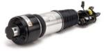 Arnott Brat arc pneumatic Arnott AS-2786 (AS-2786)