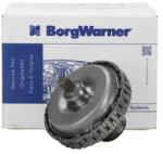 BORGWARNER Set reparație, ambreiaj BORG WARNER 202154 BORGWARNER (202154)