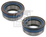 Febi Bilstein Butuc roata FEBI BILSTEIN 102555 (102555)