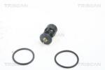 TRISCAN Termostat, lichid racire TRISCAN 8620 10187 (8620 10187)