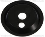 TRISCAN Protectie disc frana TRISCAN 8125 23122 (8125 23122)