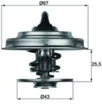 MAHLE Termostat, lichid racire MAHLE TX 18 65D (TX 18 65D)