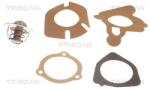 TRISCAN Termostat, lichid racire TRISCAN 8620 2982 (8620 2982)